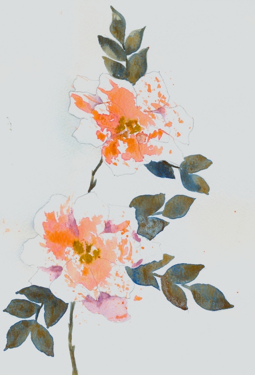 Roses by Margaret Woolls
