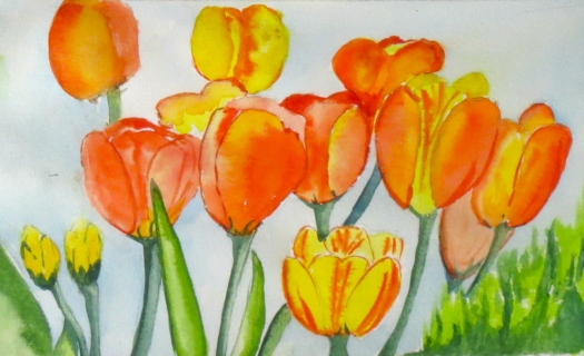 Tulips by David Bousfield