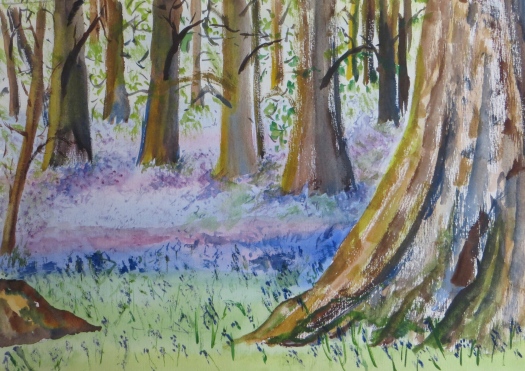 Bluebell Woods by David Bousfield