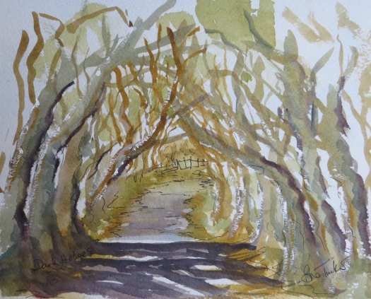 The Dark Hedges near Armoy in Northern Irelnd by Brian Tucker. Featured in The Game of Thrones.