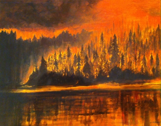 Forest fire in Yosemite in 2014