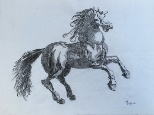 The Pranching Horse. A drawing by Maureen James